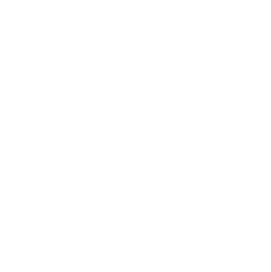 Gynaecology / Obstetrics