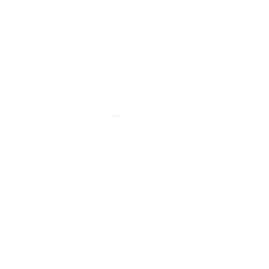 Funfact icon 3.webp